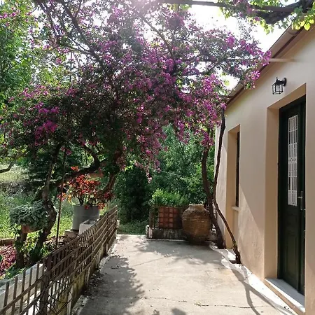 Lidi