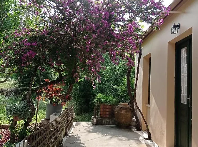 Lidi