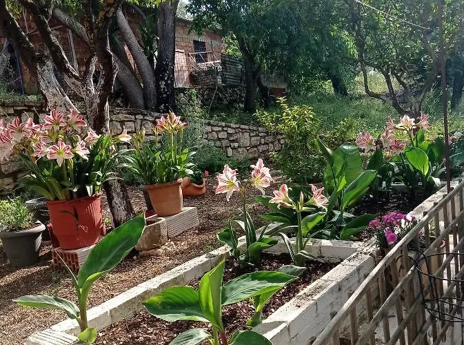 Lidi Appartement